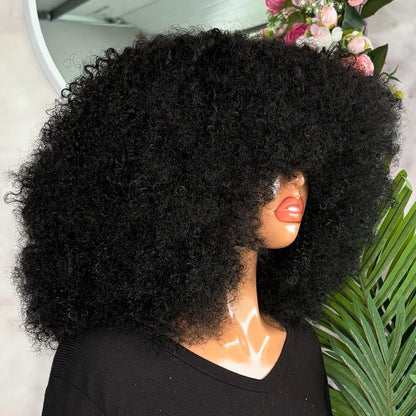 Afro Kinky Curly Wigs Human Hair Wear And Go 400 Density 13×6/360 HD Transparent Lace Wigs 100% Human Hair Pre Plucked For Women